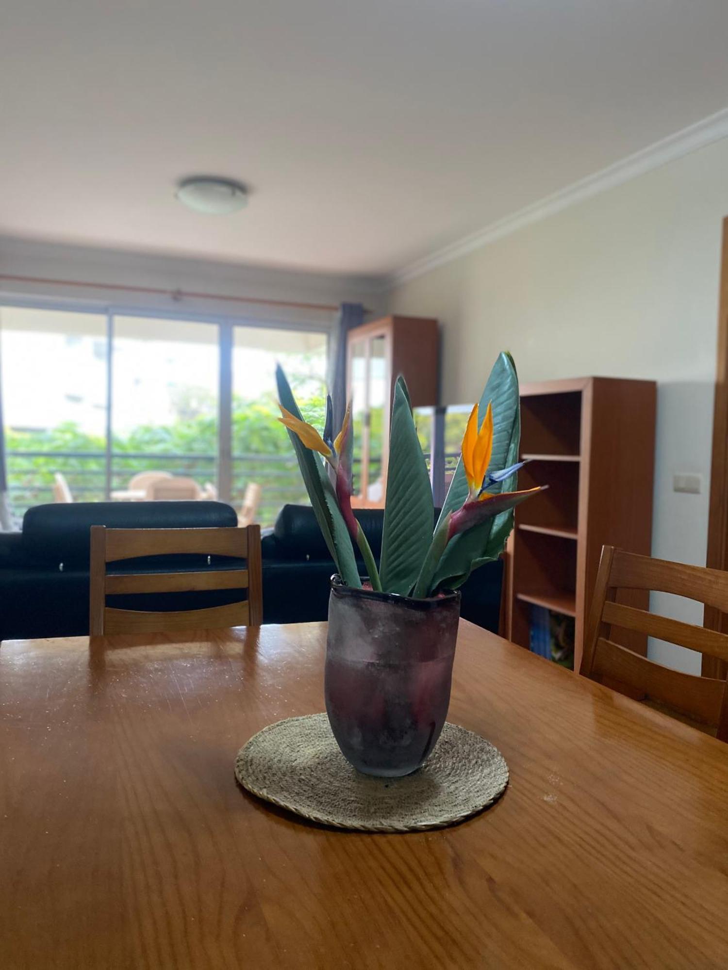 Apartamento Costa Do Sol V Фуншал Екстериор снимка